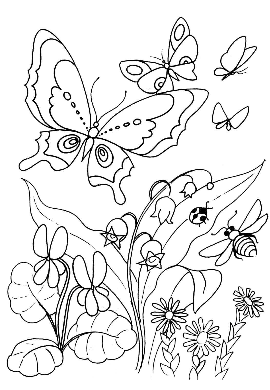 Раскраска Бабочки и цветочки
