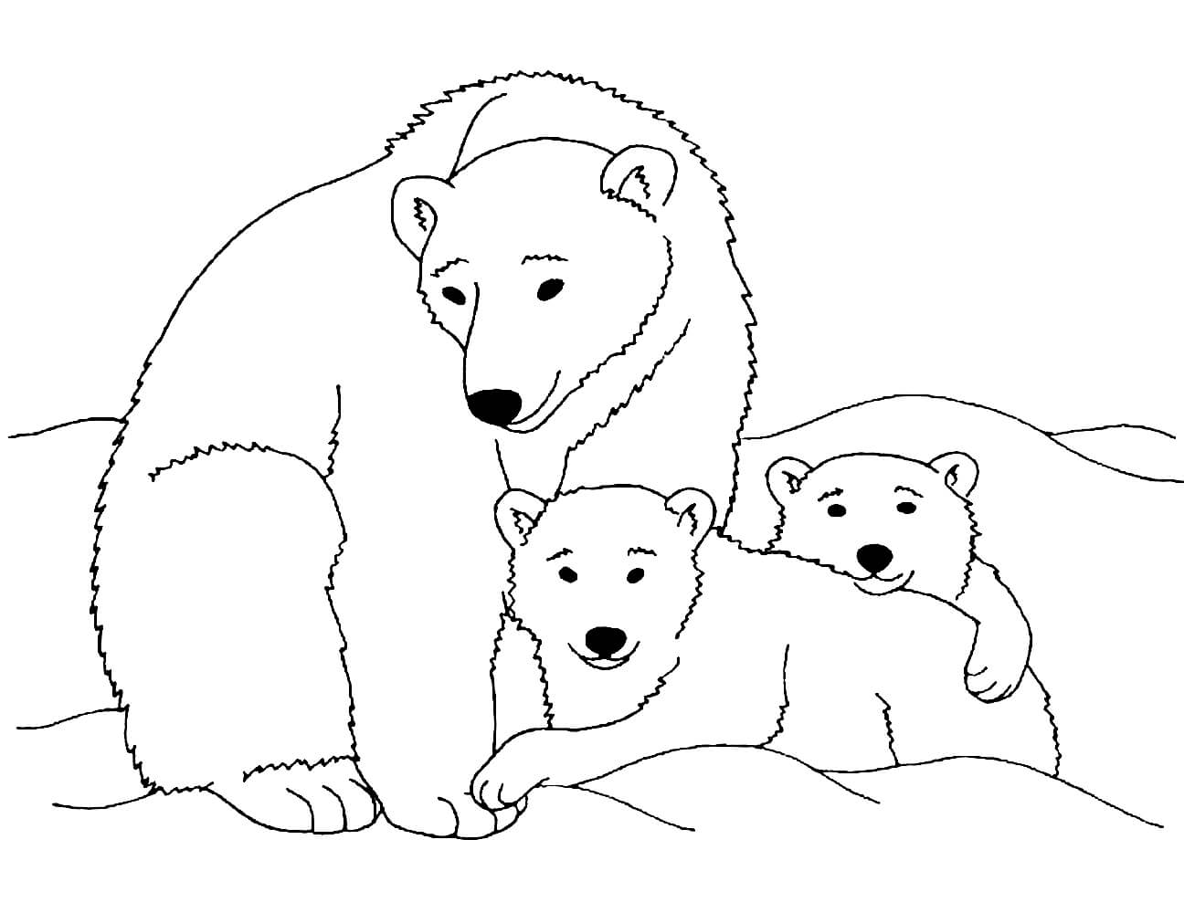 Раскраска Белые медведи