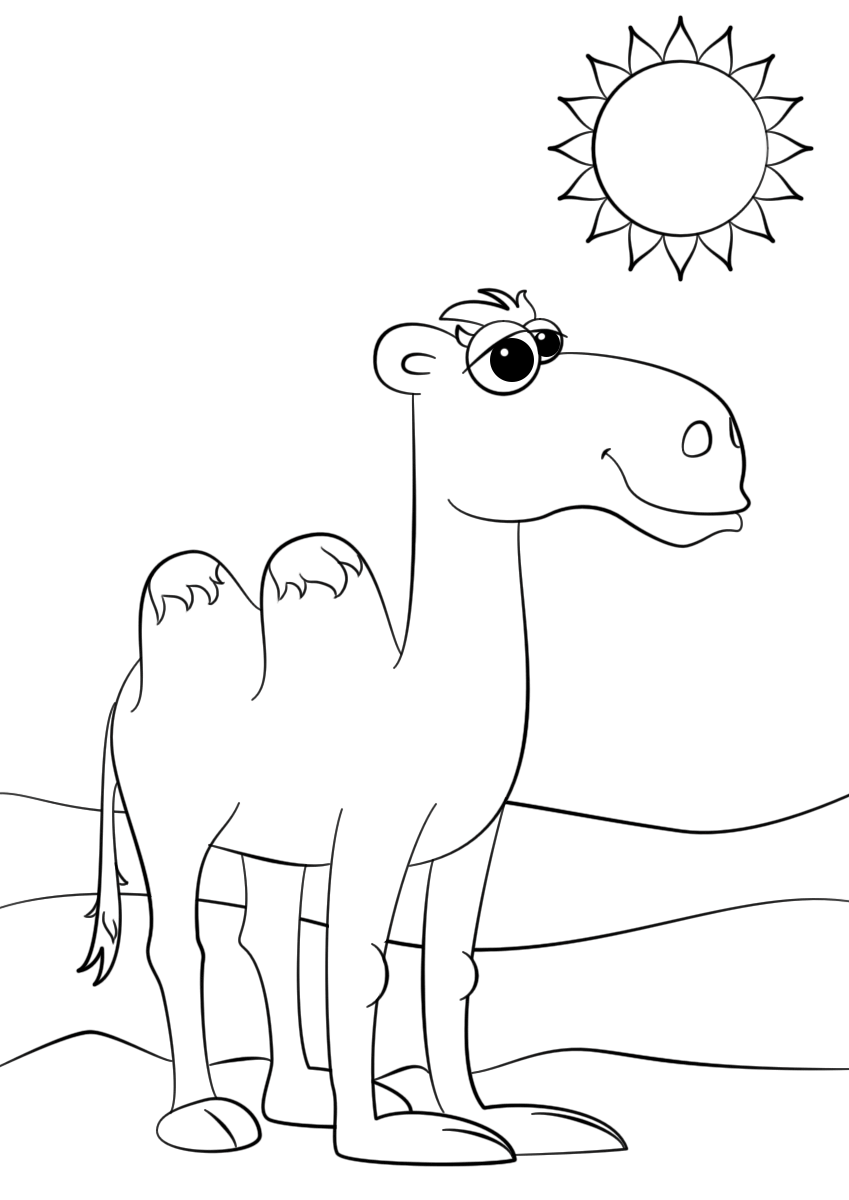 Раскраска Детёныш верблюда