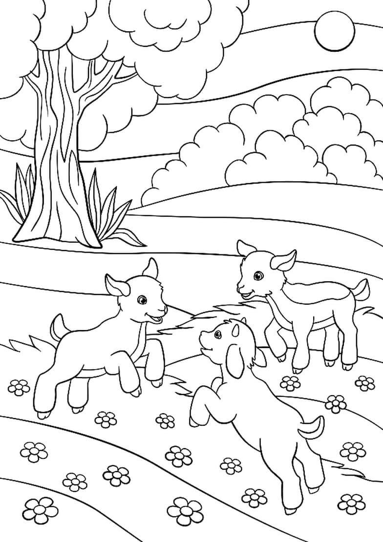 Раскраска Игривые козлята
