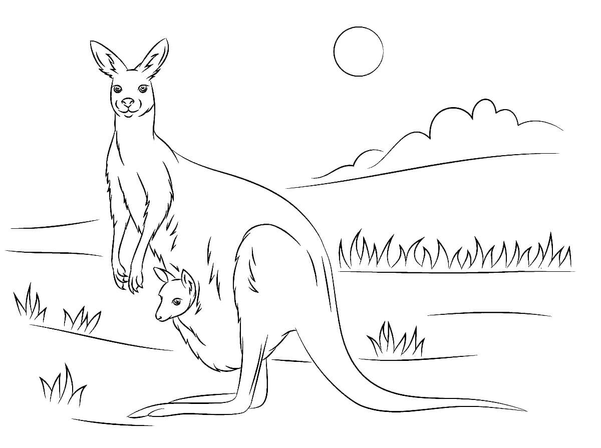 Раскраска Кенгуру с кенгурёнком в сумке