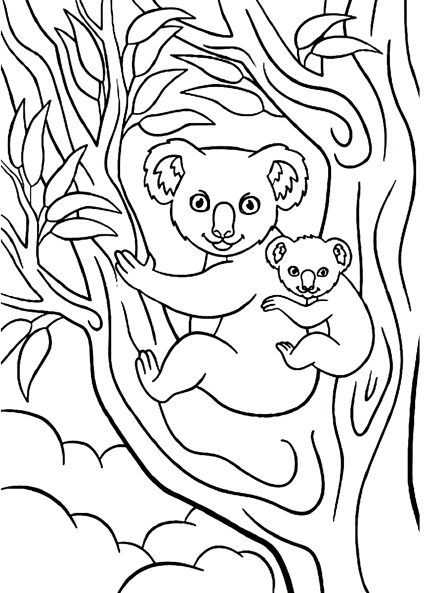 Раскраска Коала с детёнышем на дереве