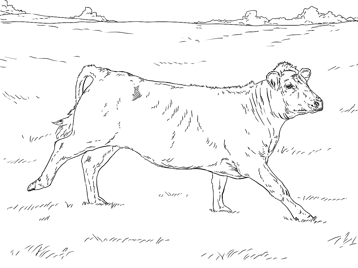 Раскраска Бегущая корова