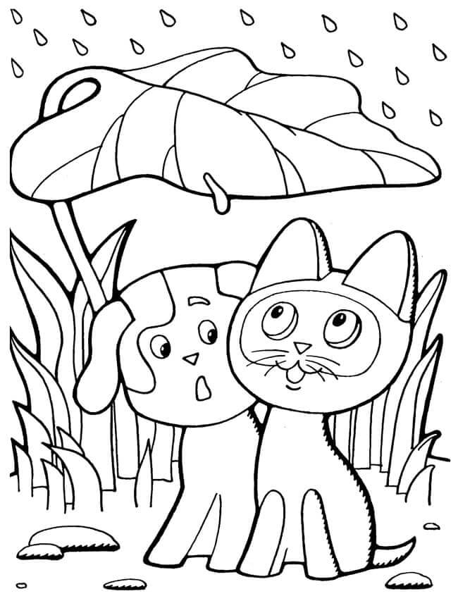 Раскраска Кошечка и собачка под дождём