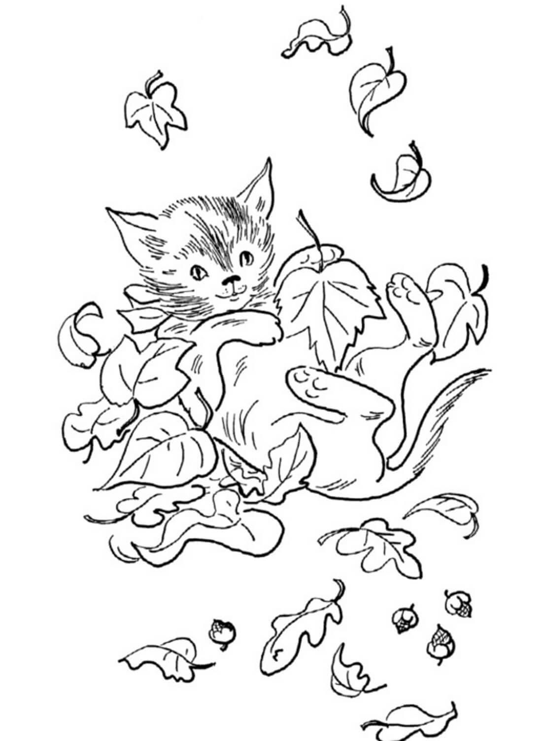 Раскраска Котик в листьях