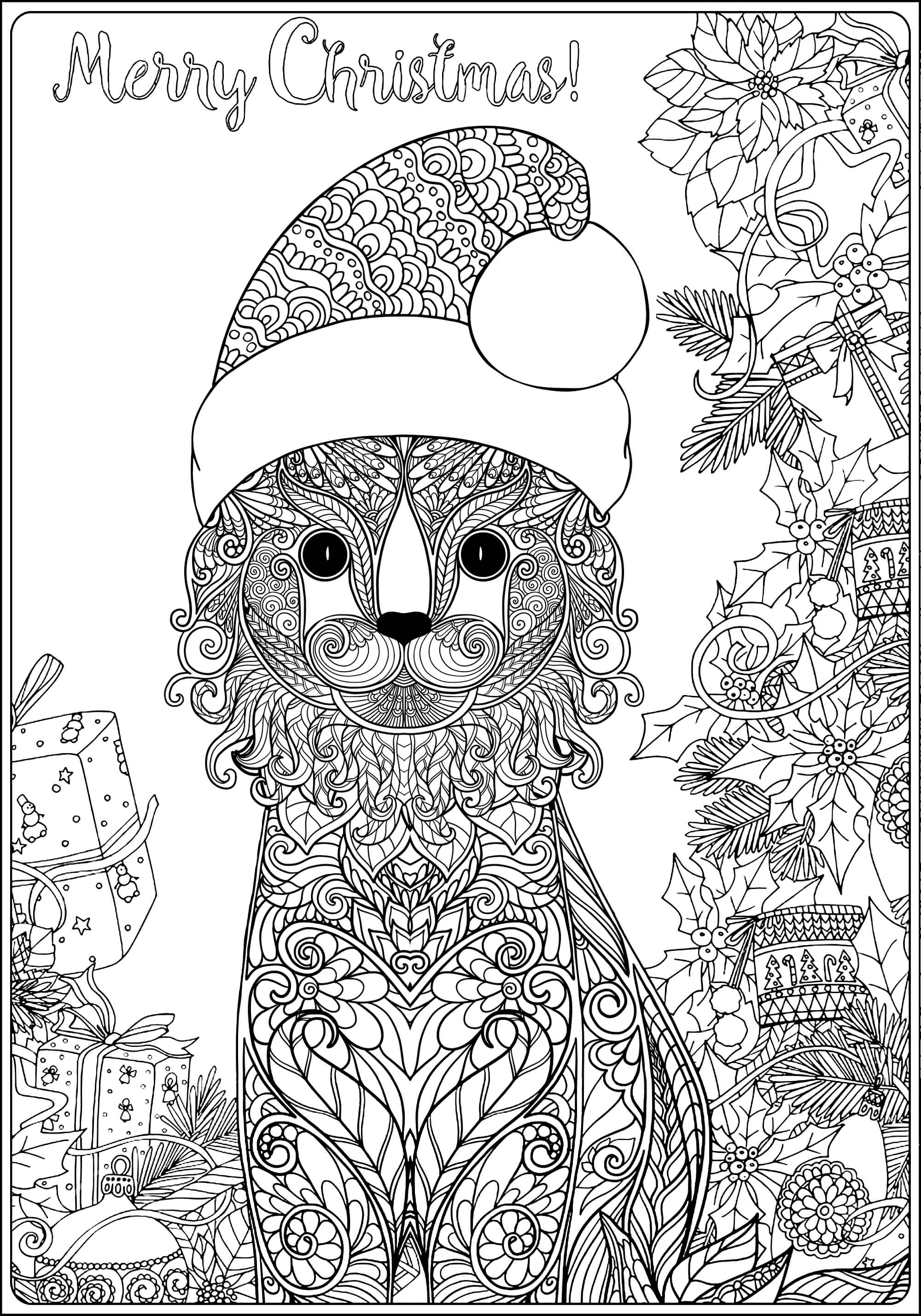 Раскраска Котик в шапочке Санта Клауса