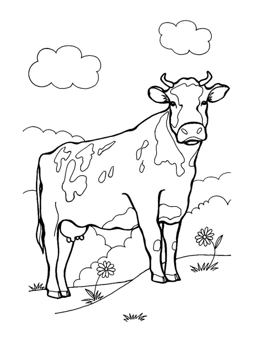 Раскраска Красивая корова