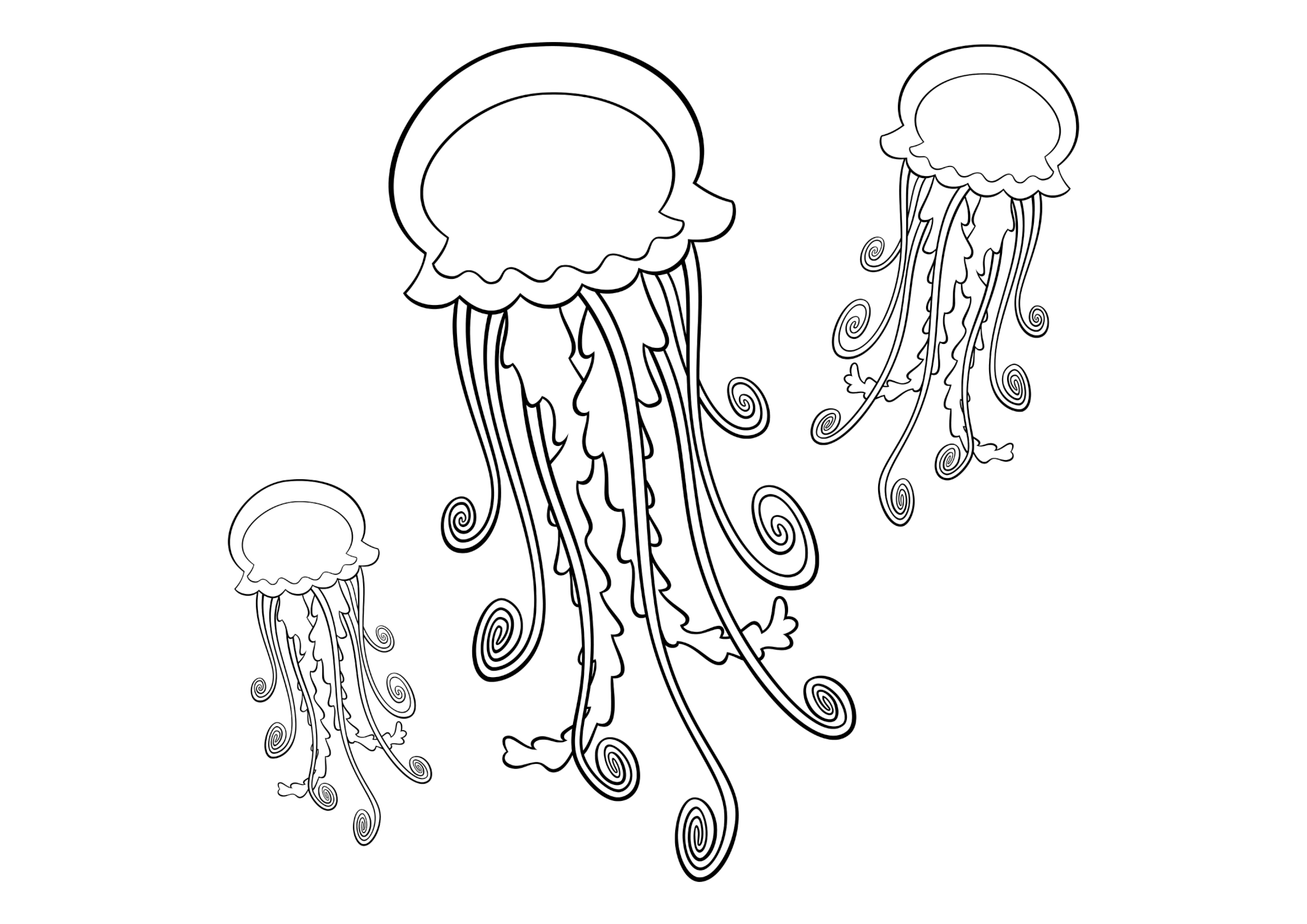 Раскраска Медузы