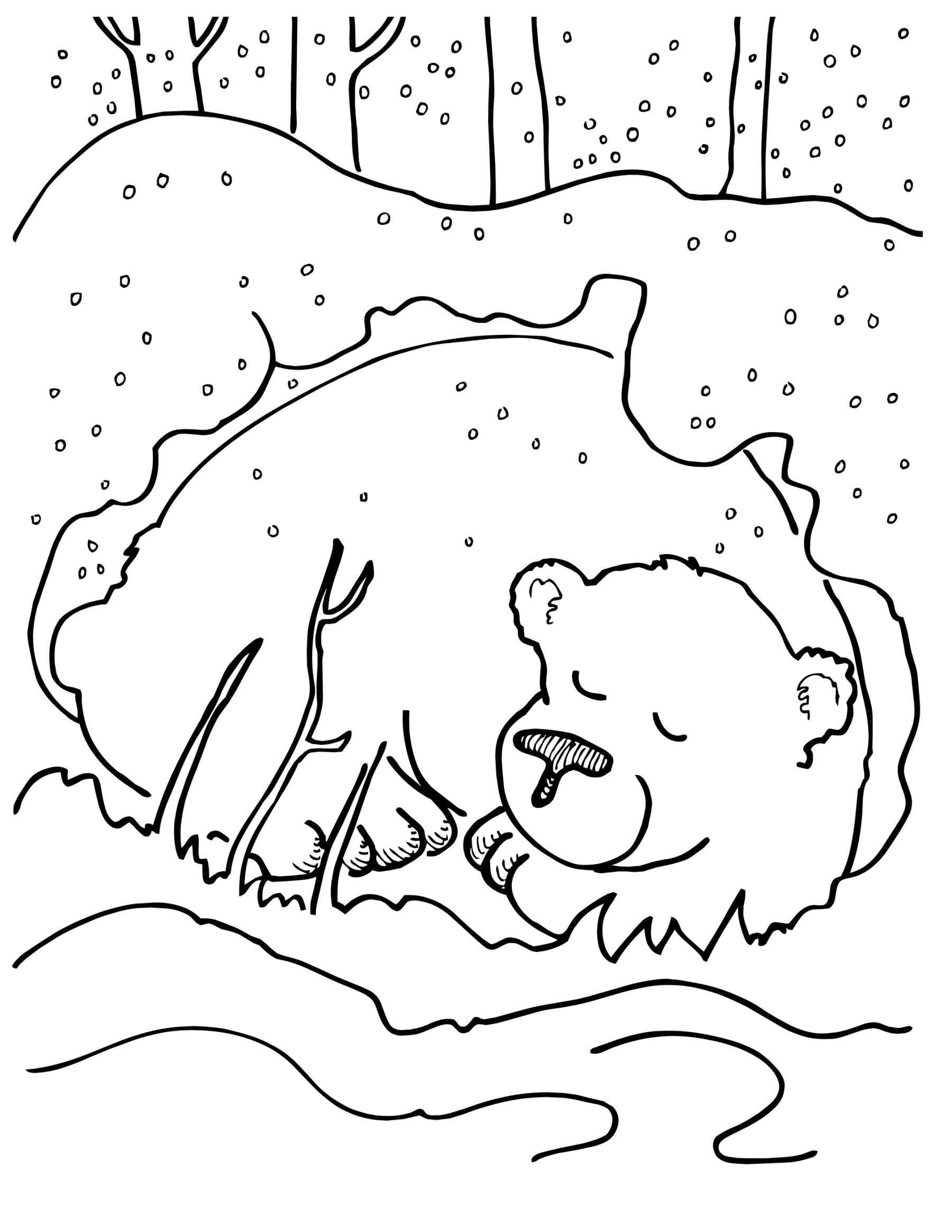Раскраска Медведь в спячке