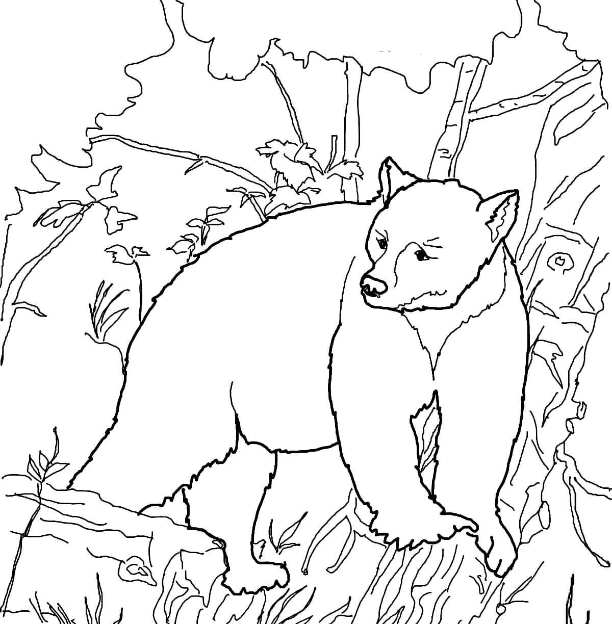 Раскраска Медведица в лесу