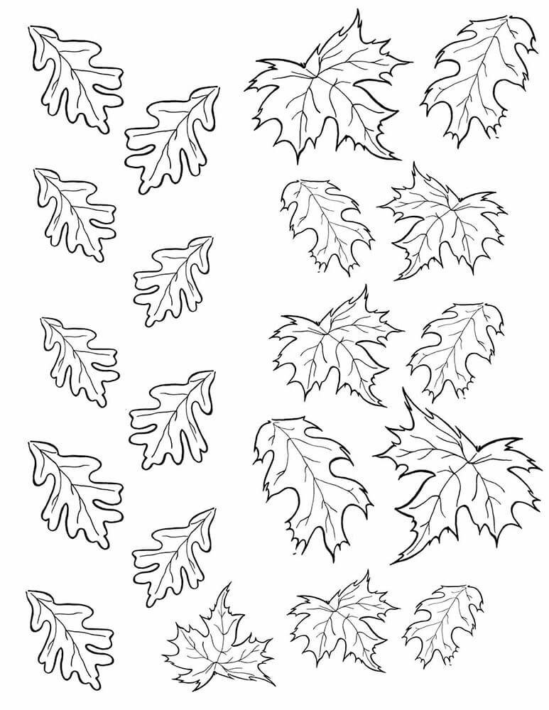 Раскраска Осенние листики