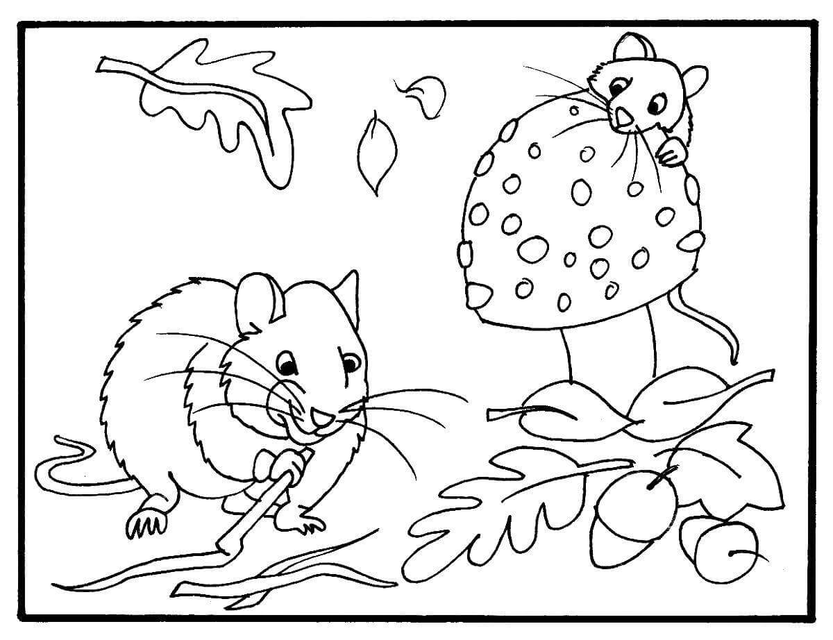 Раскраска Осенние мышки