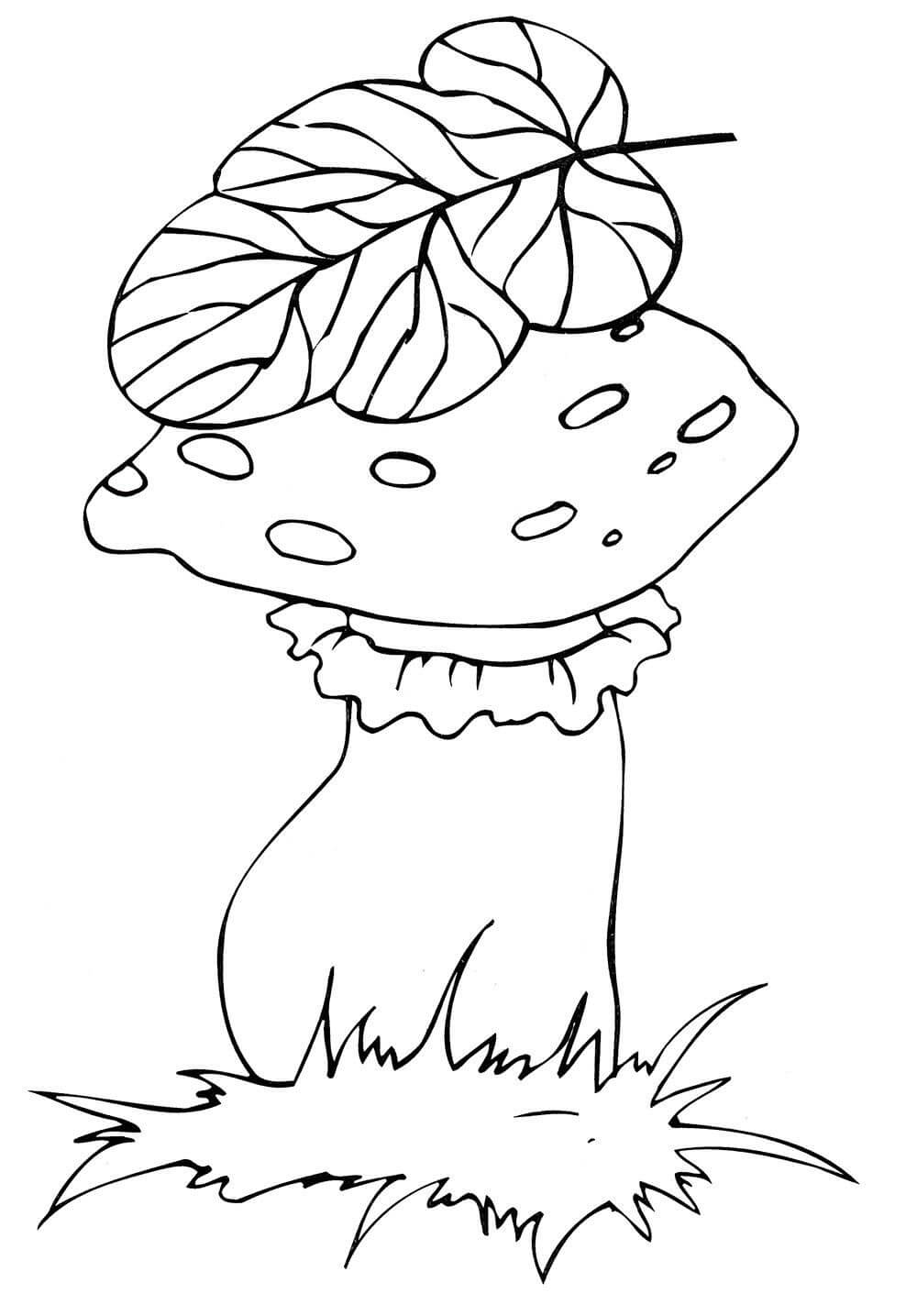 Раскраска Осенний гриб
