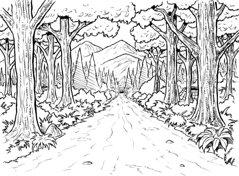 Раскраска Осенний лес