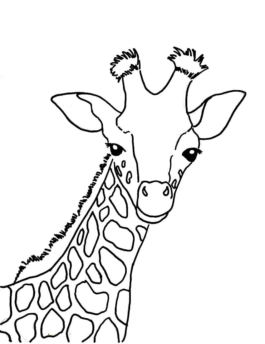 Раскраска Портрет жирафа