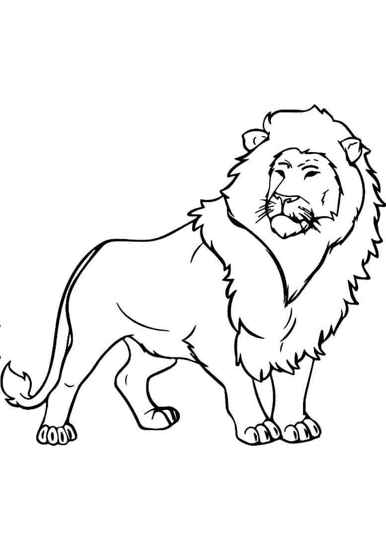 Раскраска Серьёзный лев