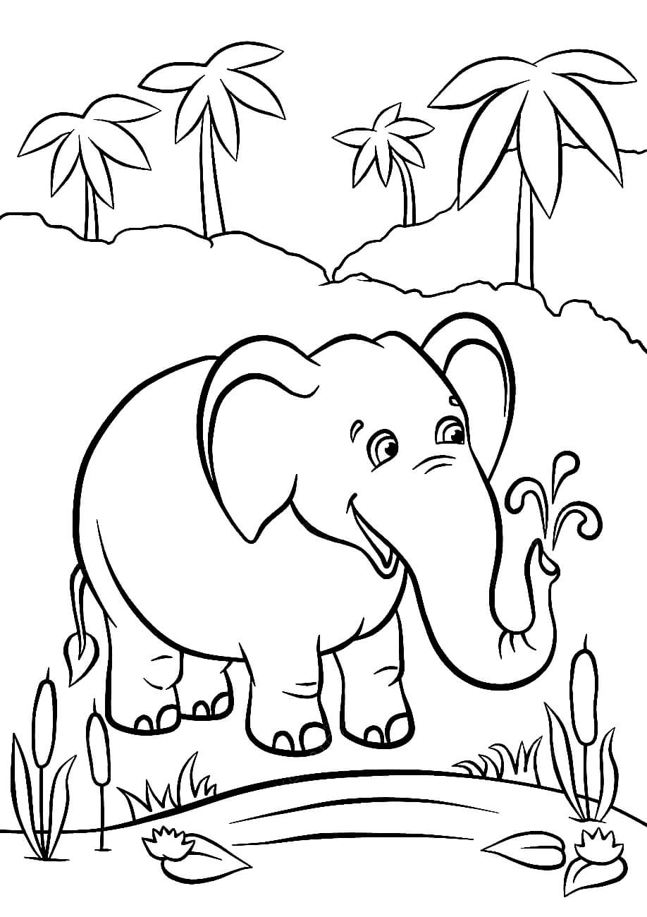 Раскраска Слон пьёт воду