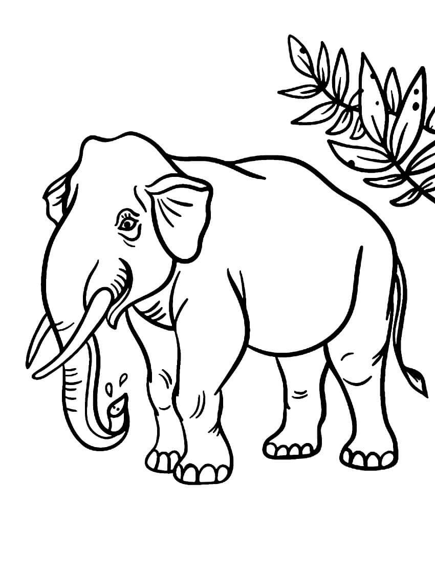 Раскраска Слон в саванне