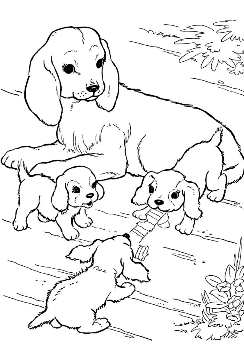 Раскраска Собачка с щенками