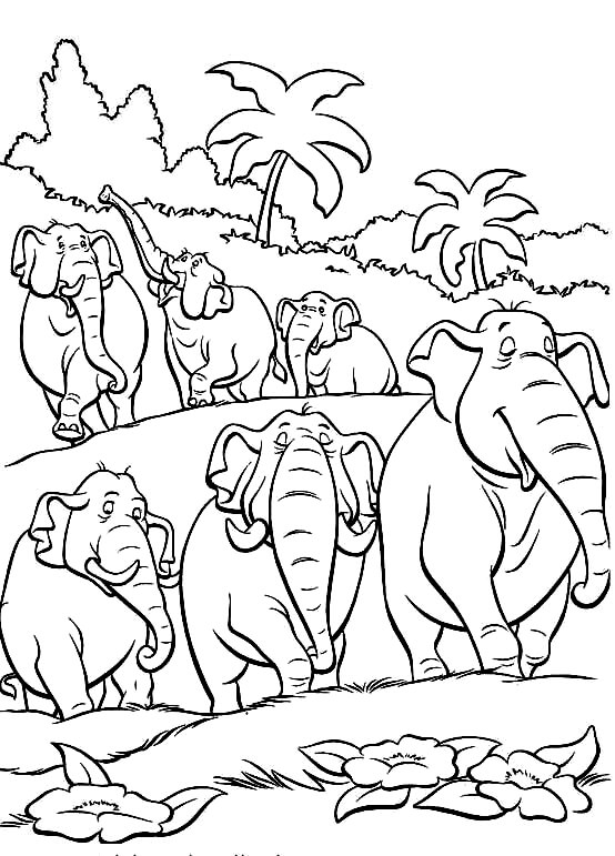 Раскраска Стадо слонов