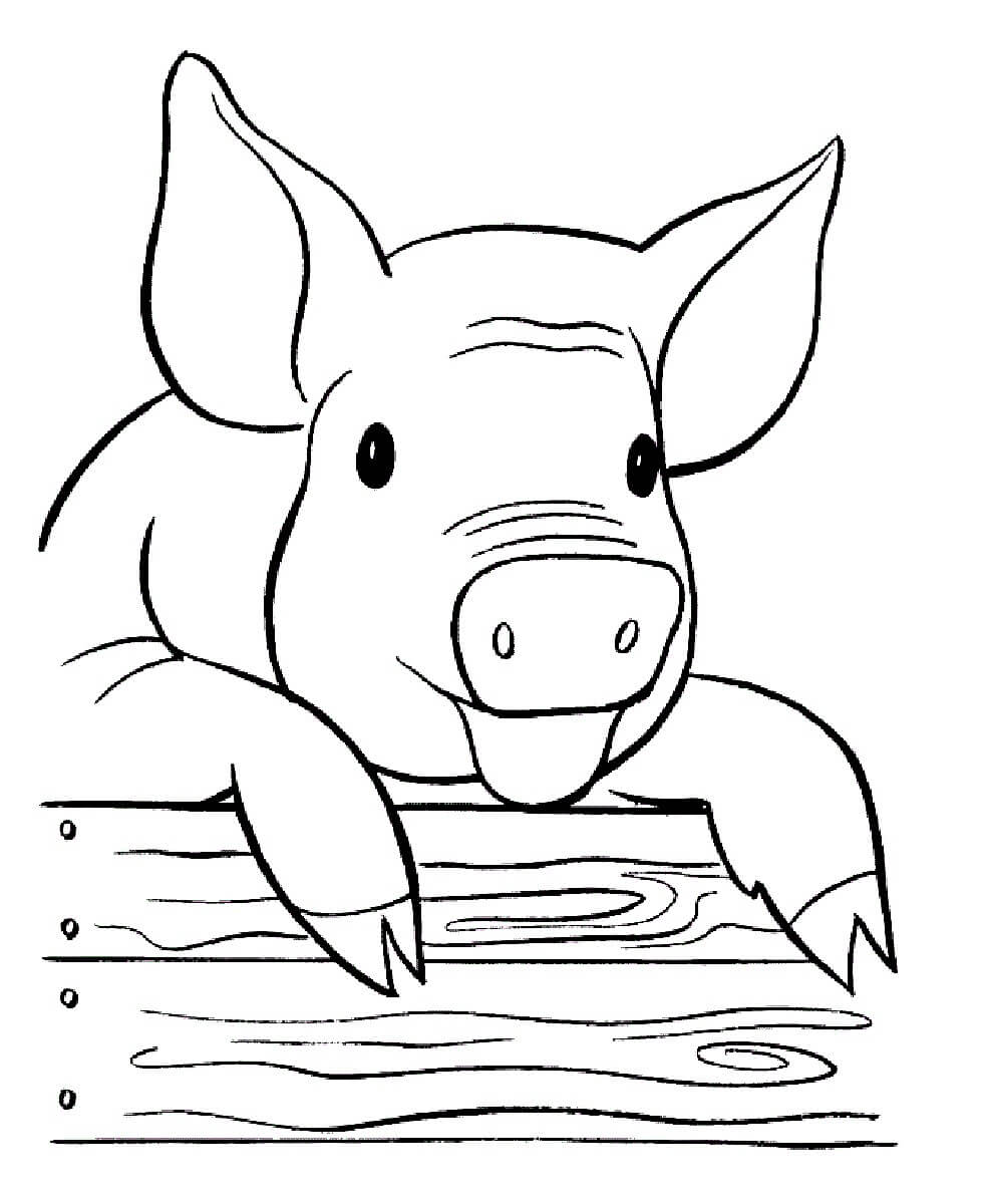 Раскраска Свинка на ферме