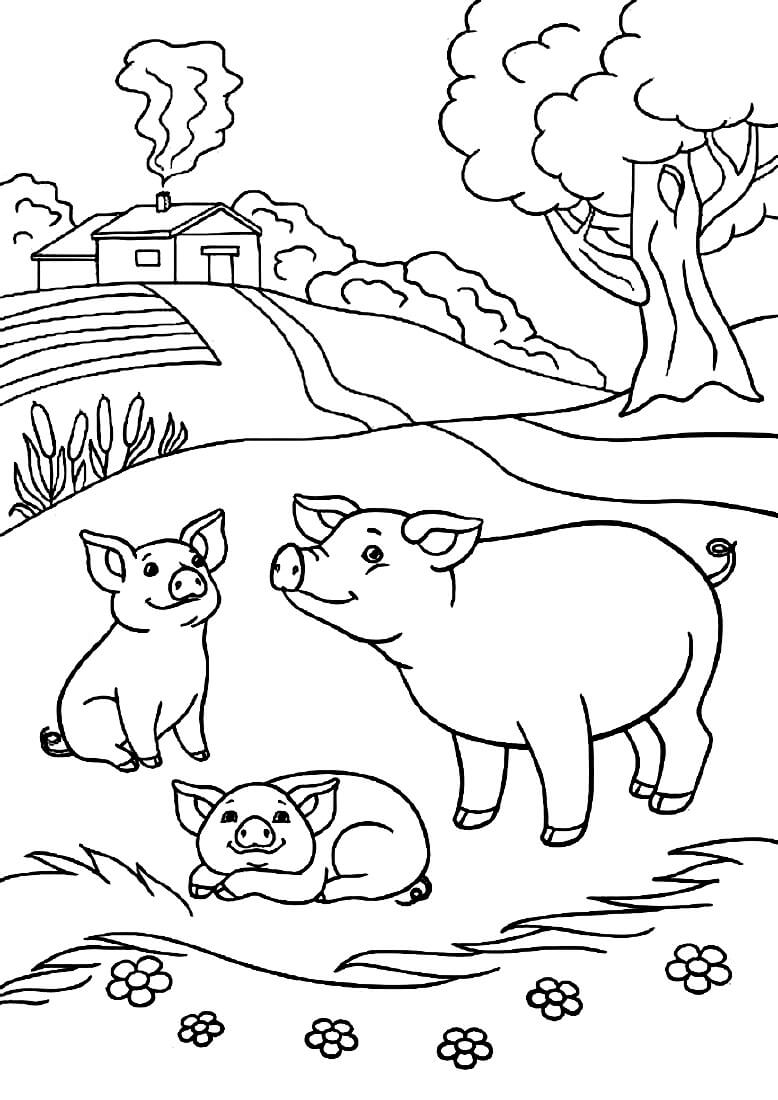 Раскраска Свинка с детёнышами