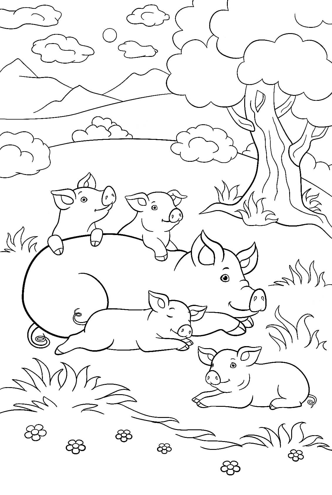 Раскраска Свинка с поросятами