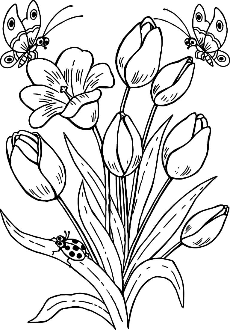 Раскраска Тюльпаны и бабочки