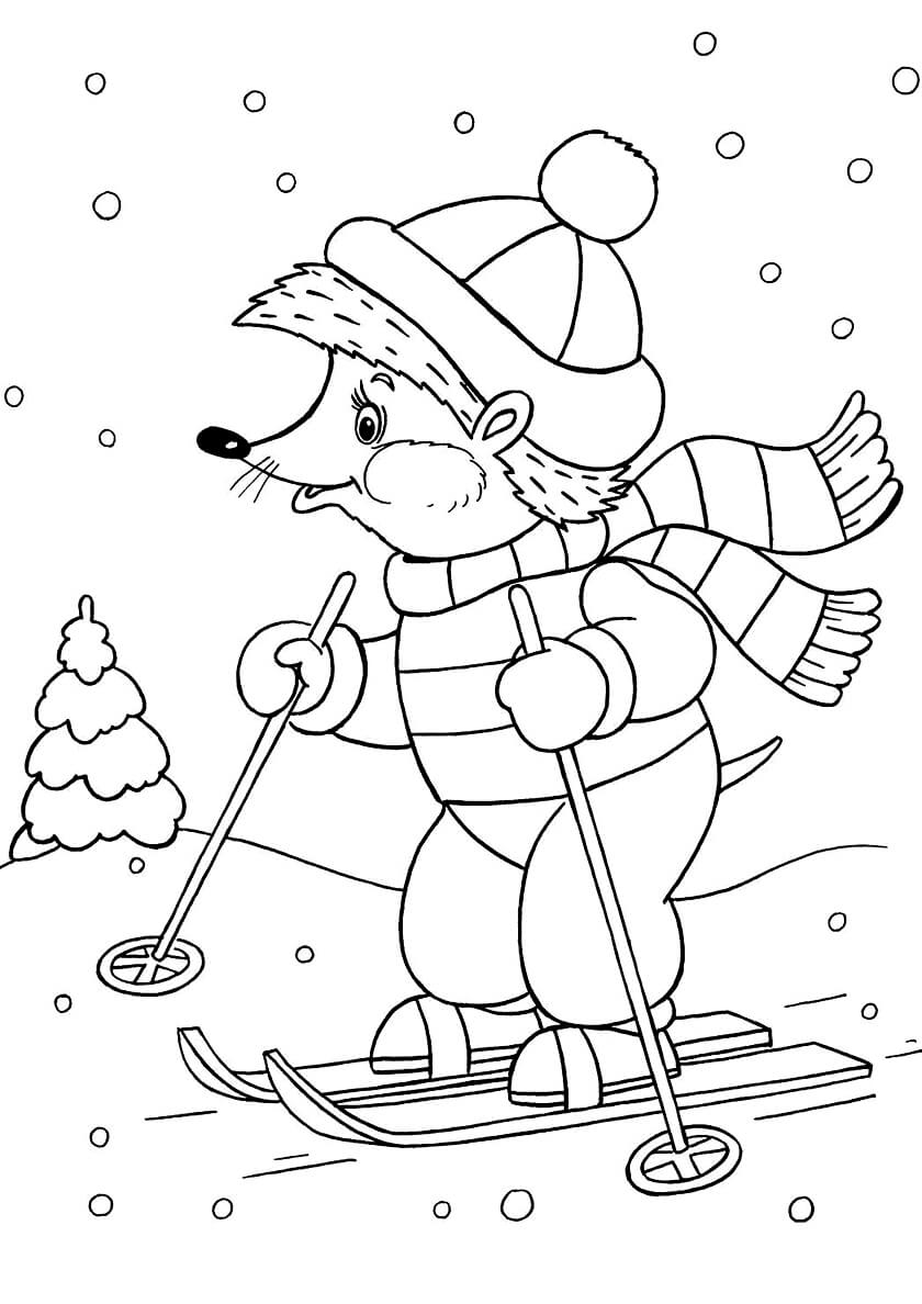 Раскраска Ёжик на лыжах