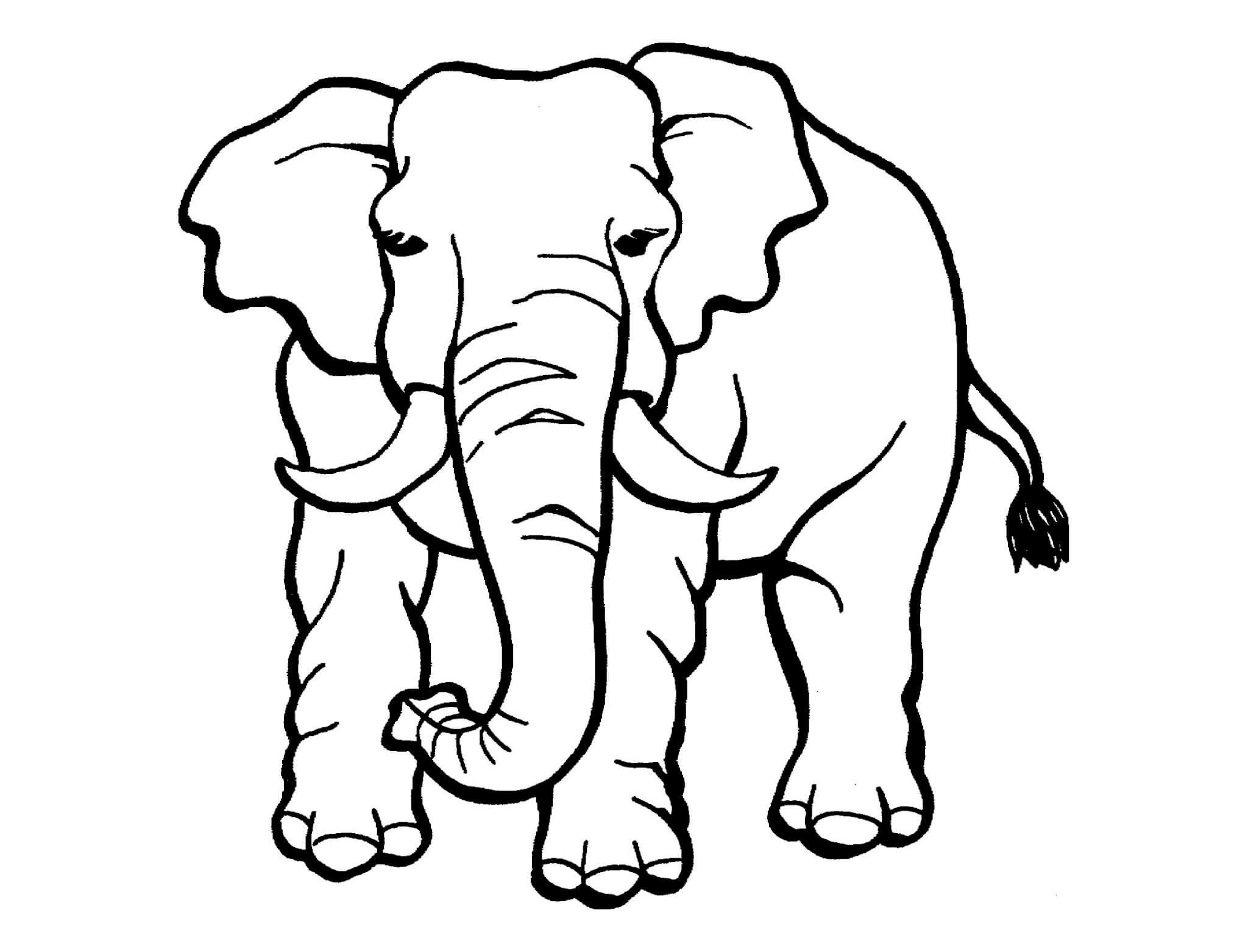 Раскраска Большой слон