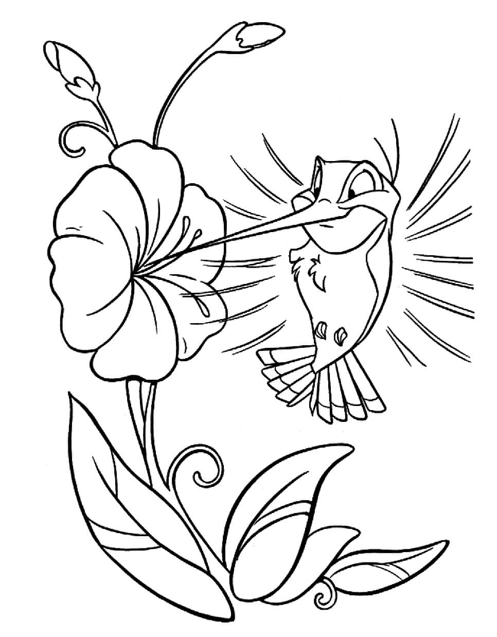 Раскраска Колибри и цветочек