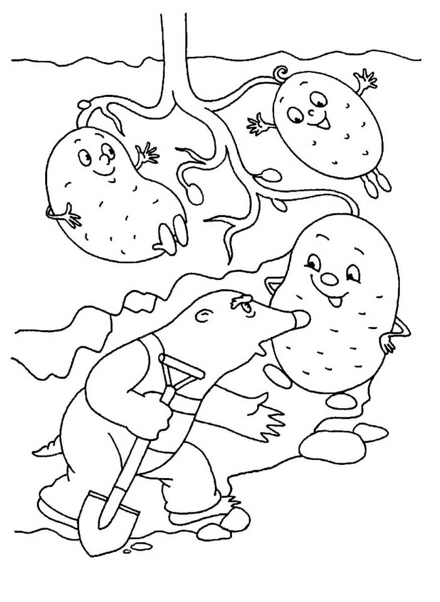 Раскраска Крот и картофель
