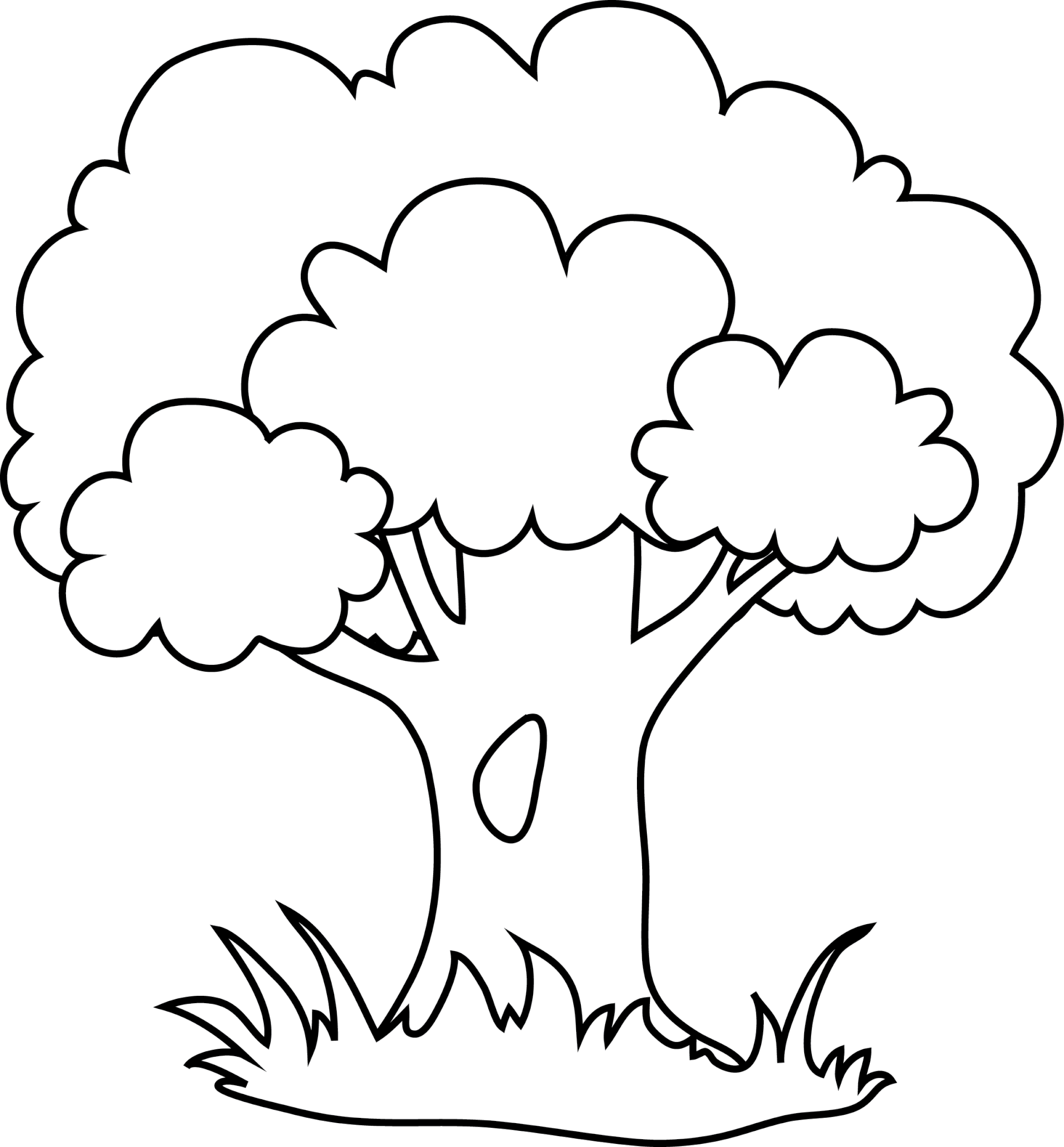 Раскраска Лесное дерево