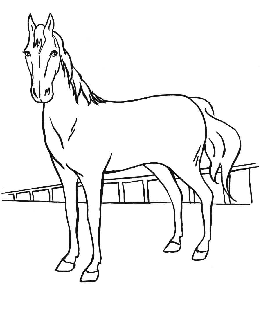Раскраска Лошадь на ферме