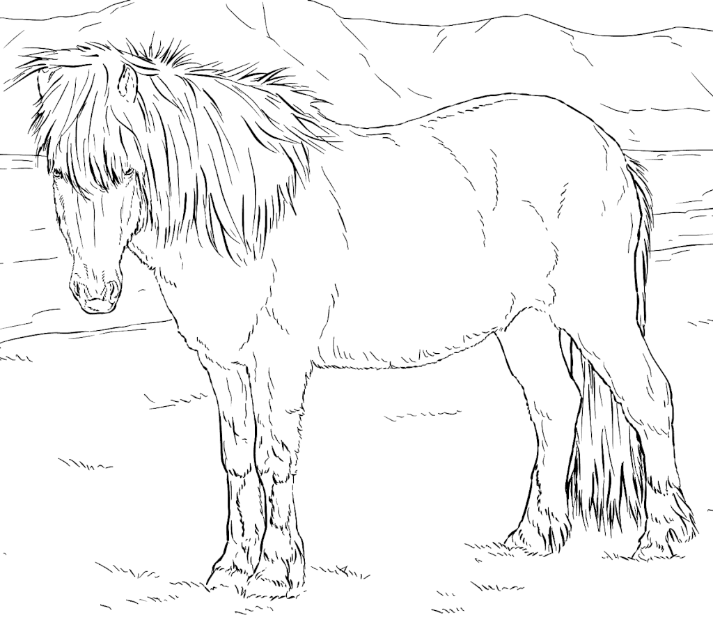 Раскраски настоящих лошадей