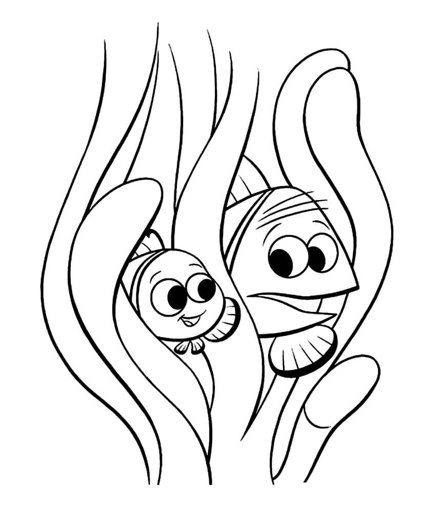 Раскраска Марлин и Немо в водорослях