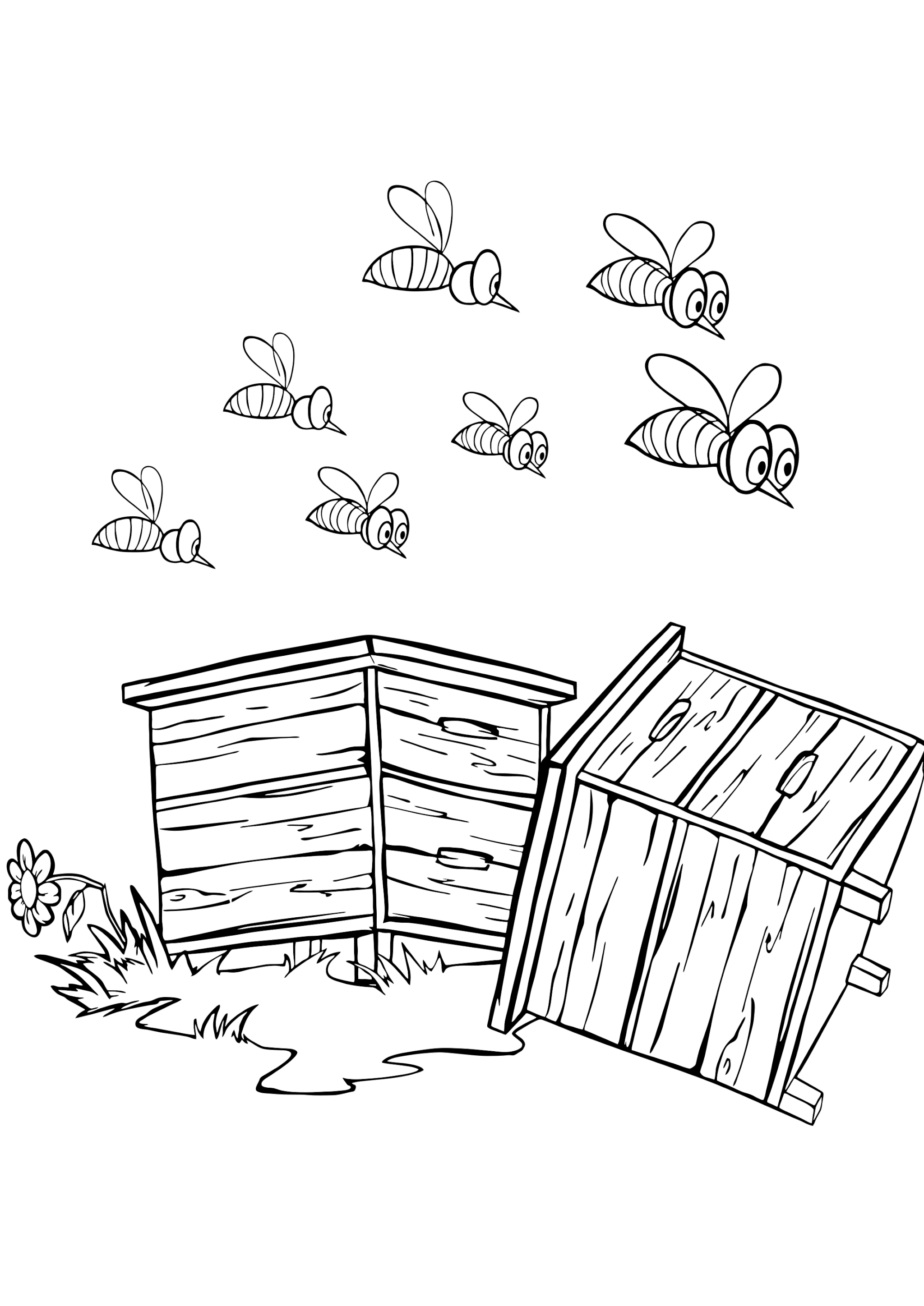 Раскраска Маша и пчёлы