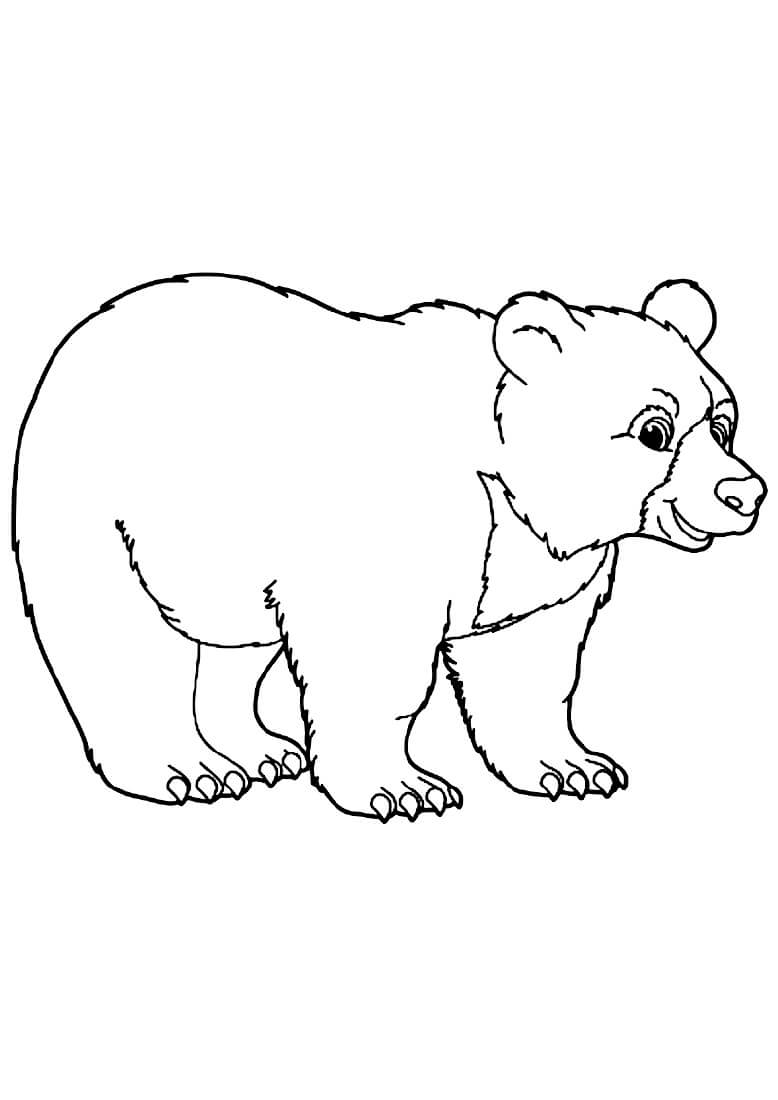 Раскраска Медвежонок