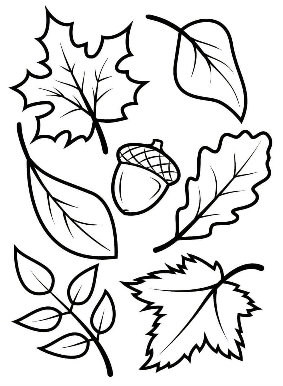 Раскраска Осенний лист