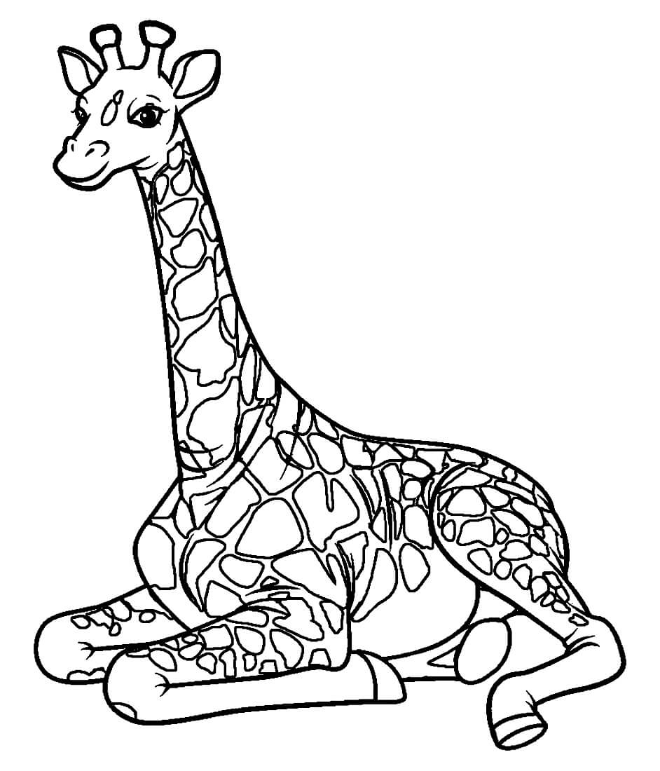 Раскраска Отдыхающий жираф
