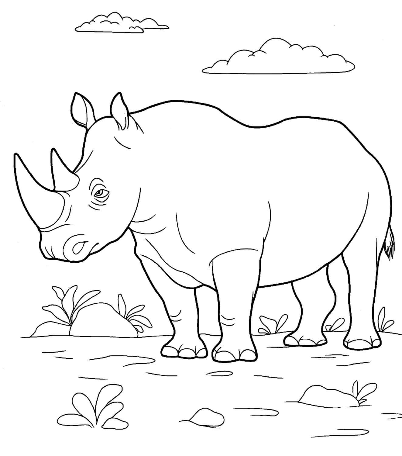 Раскраска Серьёзный носорог