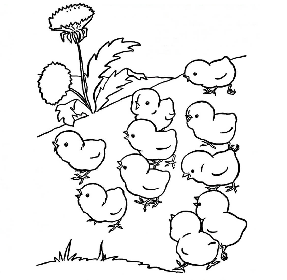 Раскраска Цыплята на цветочной полянке