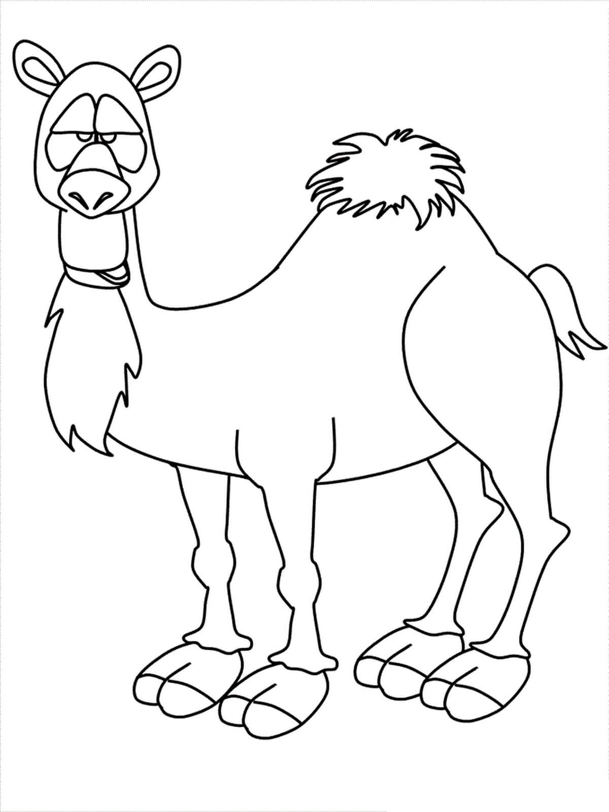 Раскраска Забавный верблюд