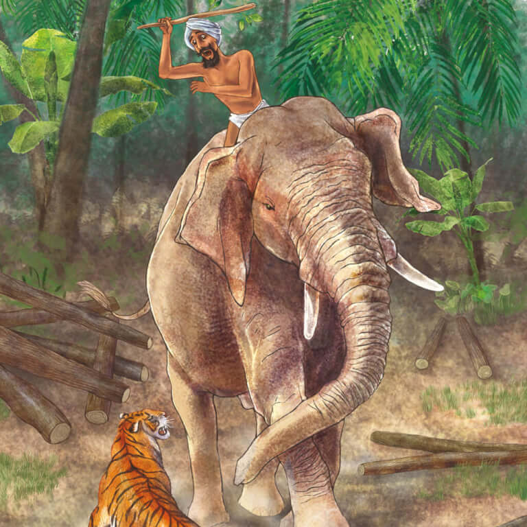 Как слон спас хозяина от тигра